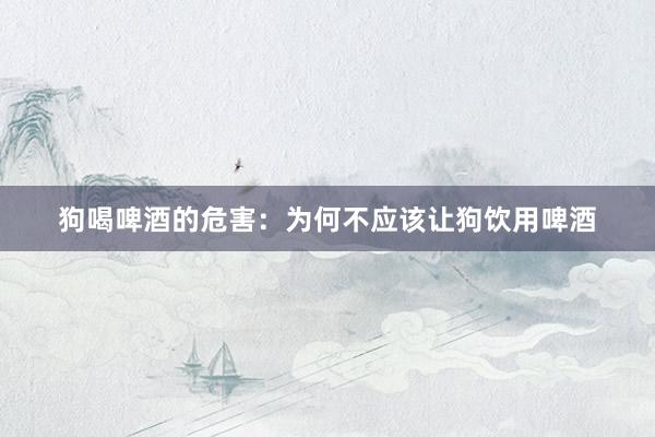 狗喝啤酒的危害：为何不应该让狗饮用啤酒